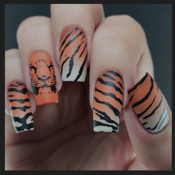 055e98d26d9efbf00a556694ae0d1000