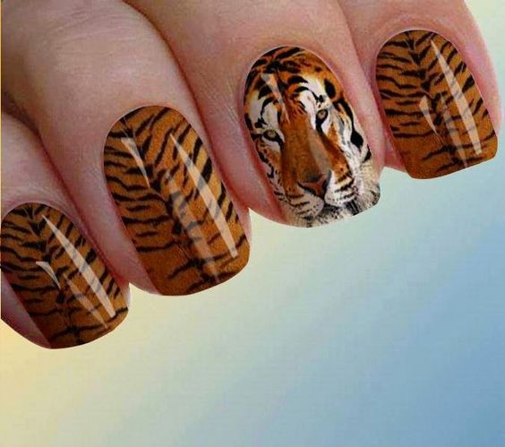 2b3dc6314fba1dc79275c9589e7f9342